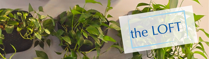 The LOFT The LOFT Plants