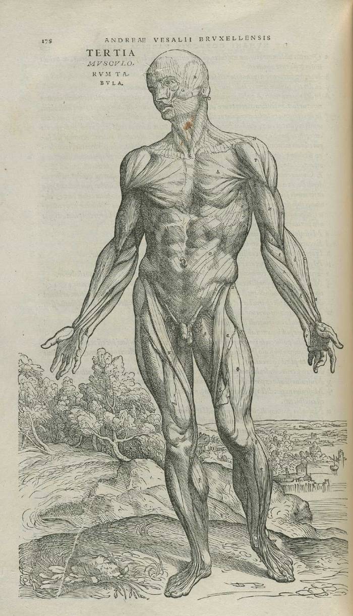 Vesalius image courtesy of National Library of Medicine