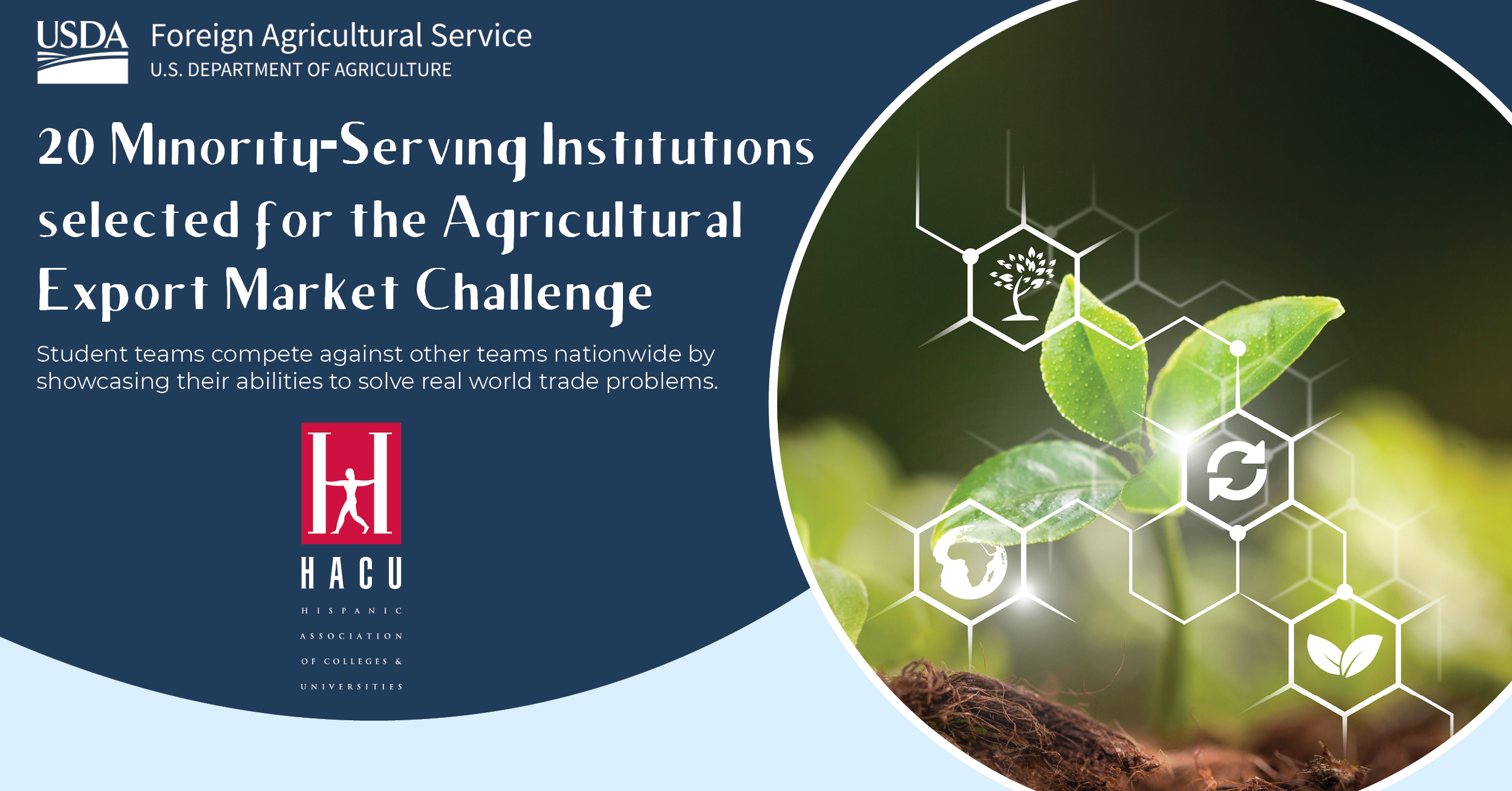 Text: USDA logo 20 Minority-Serving Institutions Selected for the Agricultural Export Market Challenge image of a plant -Gathered from information included in USDA Press Release No. 0021.24, press@usda.gov