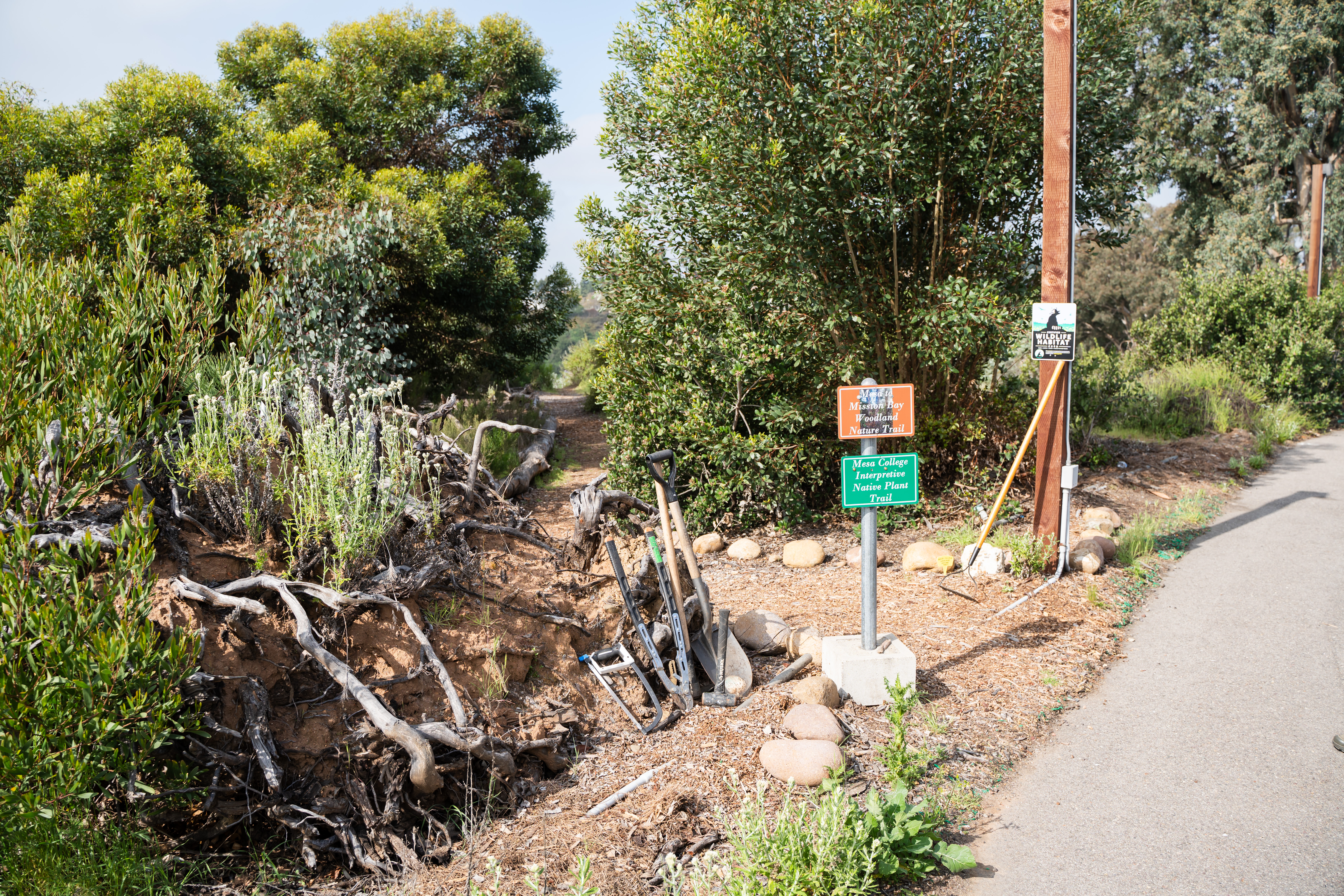 woodland trail entry
